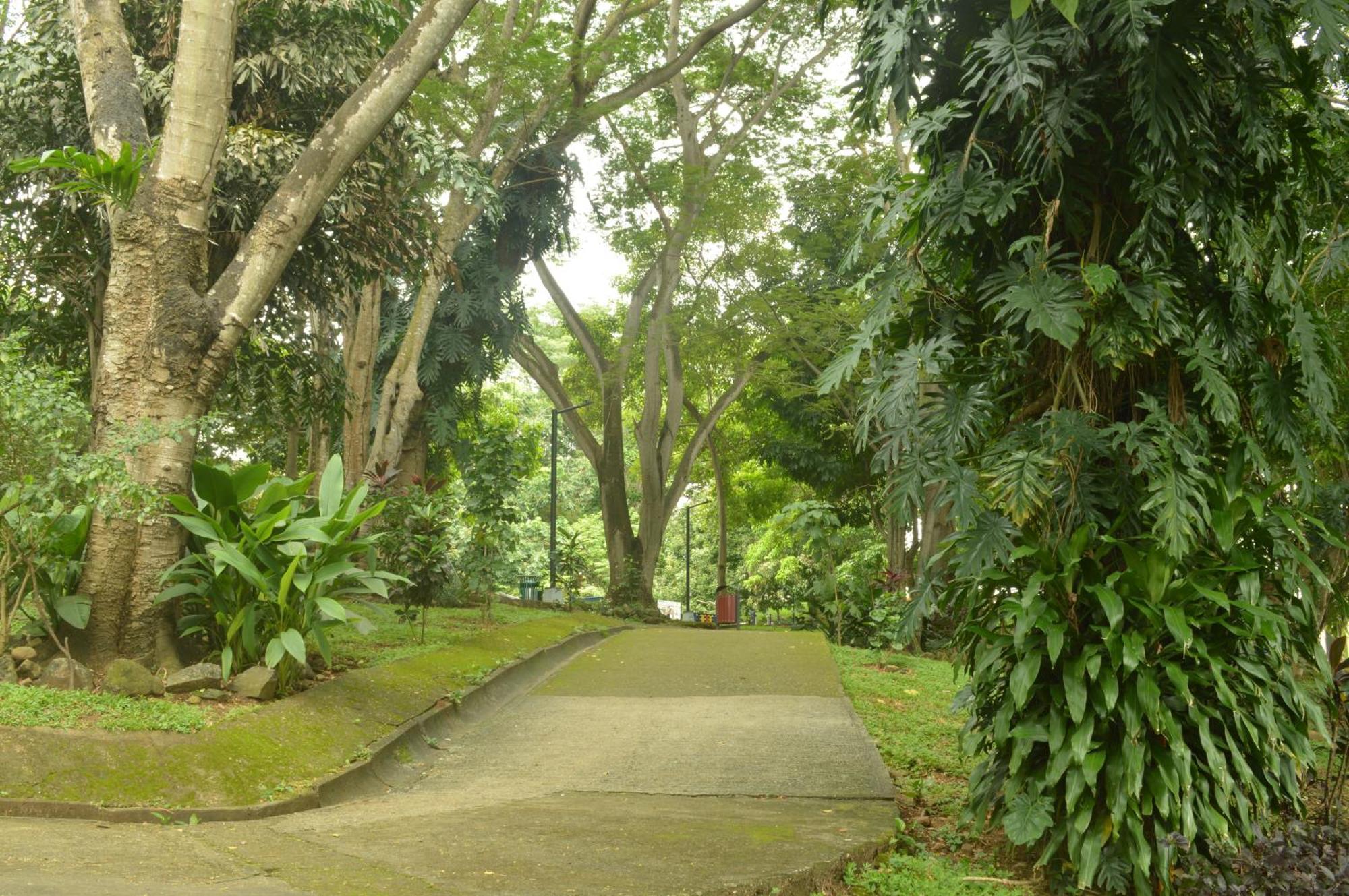 Totumas Lodge Kota Panama Bagian luar foto